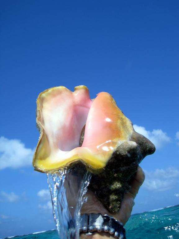 Caye Reef Condos Caye Caulker Εξωτερικό φωτογραφία